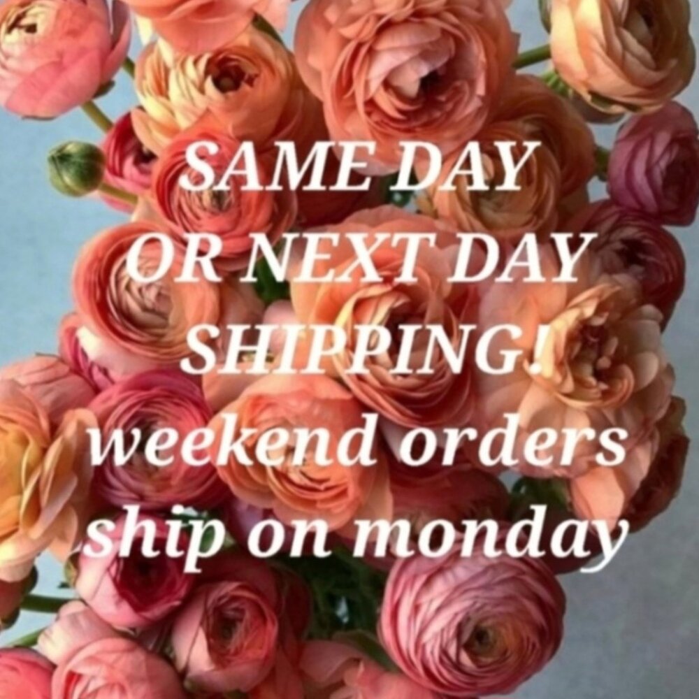 Meet your Posher, MV.